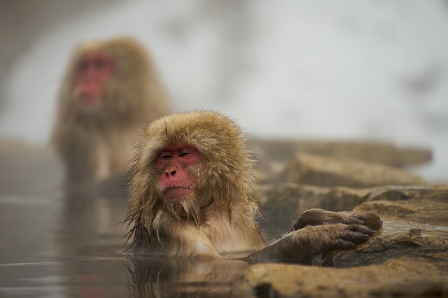 温泉地への旅行は気分をリフレッシュするのには最適です